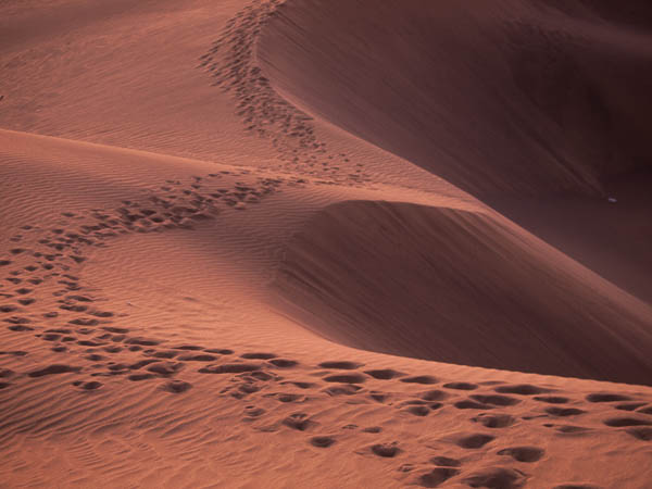 Maspalomas sand dunes located on the south coast of Gran Canaria